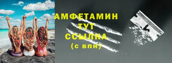 прущие грибы Аркадак