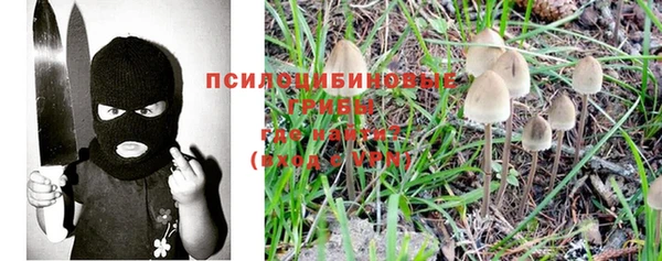 кокс Арсеньев