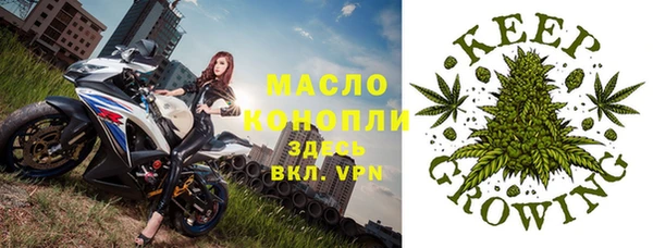 прущие грибы Аркадак
