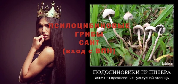 спайс Покачи