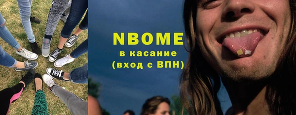 прущие грибы Аркадак